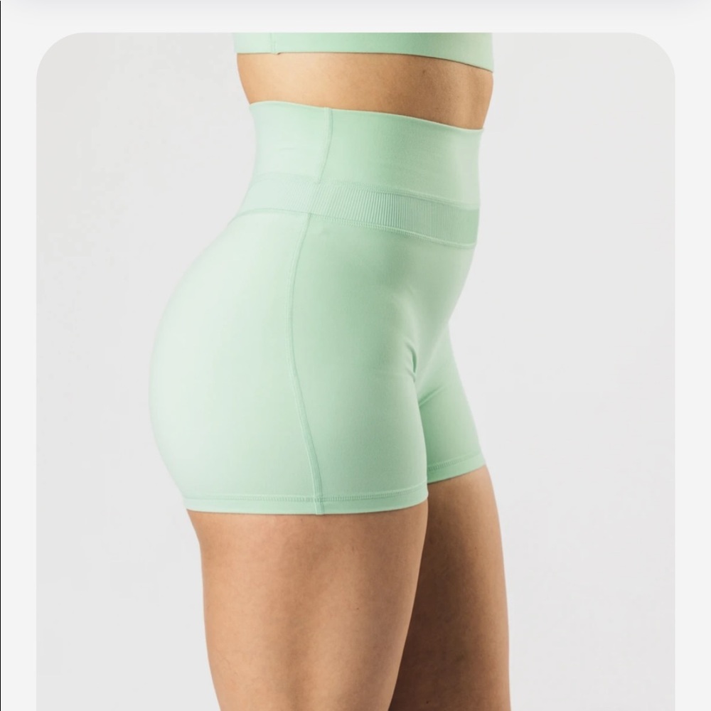 Alphalete Mint Green Athletic Shorts


(Not squat proof)